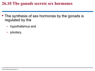 26.10 The gonads secrete sex hormones
 The synthesis of sex hormones by the gonads is
regulated by the
– hypothalamus and
– pituitary.
© 2012 Pearson Education, Inc.
 