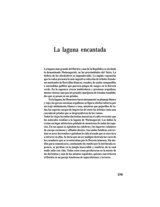 TRADICIONES Y LEYENDAS PANAMEÑAS
279
La laguna encantada
La laguna más grande del Darién y aun de la República es sin duda
la denominada Matusagaratí, en las proximidades del Tuira. La
belleza de los alrededores es imponderable. La tupida vegetación
que la rodea presenta la más sugestiva colección de árboles frondo-
sos matizados de florecillas blancas, rosadas, de azules campanillas
o encendidos gallitos que parecen pingos de sangre en la floresta
verde. En la espesura crecen multicolores y preciosas orquídeas,
menos vistosas aun que las grandes mariposas de irisadas tonalida-
des que se posan en sus pétalos.
Enlalaguna,losflamencoslucenairosamentesuplumajeblanco
y rojo; las garzas ostentan orgullosas su figura esbelta cubierta por
un traje nítidamente blanco o rosa, mientras que pajarillos de to-
das las especies surgen de improviso de entre los árboles como una
cascada de pétalos que se desprendieran de las ramas.
Todas la viejas leyendas darienitas muestran el culto reverente que
los naturales rendían a la laguna de Matusagaratí. Los indios la
creían un lugar misterioso poblado de monstruos de todas las espe-
cies. En sus aguas se agitaban las culebras y los lagartos voladores
de cuerpo escamoso y afilados dientes. Sus ondas fatídicas conver-
tían en seres horrendos o quitaban la vida al osado que se atreviera
a mirarse en ellas. Se decía que un ser maligno destruía las voces de
los cazadores que se aventuraban por la floresta inmensa. Sin me-
dios para comunicarse, caminando sin rumbo por la intrincada es-
pesura, se perdían en la jungla inaccesible y sombría, de la cual
nadie salía con vida. Todas estas cosas perduraron en la mente de
los darienitas y aun de los mismos españoles, quienes convirtieron
el Darién en un paraje tenebroso de supersticiones y terrores.
 