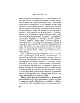 SERGIO GONZÁLEZ RUIZ
42
perder sus hojas en esta época del año, se habían llenado de flo-
res, salpicando así de manchas multicolores el fondo verde os-
curo del bosque: los cañafístulos de rojas flores; los macanos y
guayacanes de flores amarillas, de oro; los robles de flores color
lila pálido; los madroños de blancas flores como los azahares;
los caracuchos de flores blancas, rojas y amarillas; los balos de
flores de color rosa pálido; los poroporos de hermosas flores
amarillas y las flores de la cruz, de color morado. Y debajo del
altísimo techo de los árboles mayores, helechos, lianas y beju-
cos de diversas clases y formas (“de corazón”, “de mariquita”,
“de corona”, “de culebra”, “redondito”, “negrito”, “blanco”,
“colorao”, “barquillo”, “puque-puque”, etc.) y una profusión de
plantas sin nombre y de parásitas diversas; toda esa confusión de
plantas de la selva tropical, toda esa vegetación lujuriante de la
cual se desprende un vaho que, unido al que se levanta de la hu-
medad y de la descomposición de materias orgánicas en el suelo,
parece embotarle a uno los sentidos y envolverlo como en un
mágico letargo. . .
Iban los españoles ya un poco fatigados de tanto andar por
llanos y por bosques, desde hacia ya mucho tiempo. Los
pajarillos seguían adelante entonando sus trinos y como indi-
cándoles el camino a seguir. Ellos los seguían como autómatas.
Para empeorar las cosas los “corrococos” y “chigarras”, con sus
millones de voces, iguales, ensordecedoras, contribuían a
aletargarlos más. Siguieron, pues, desganados, un poquito más
adelante, en medio de la penumbra del bosque, cuando de pron-
to se alegraron sus ojos con la presencia de un claro o “limpio”
en medio del boscaje, un lugar abierto en donde, minutos des-
pués los deslumbró la luz que a chorros entraba desde el cielo
por un boquete abierto en medio del follaje.
El claro estaba hecho de rocas milenarias en las que, desde
luego, no había árboles sino apenas algunos arbustos creciendo
en las grietas, entre las peñas, junto con enredaderas, pitahayas
y tunas de rojo fruto, campanillas blancas, rosadas, azules; flores
 
