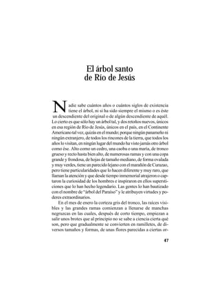 VEINTISÉISLEYENDASPANAMEÑAS
47
El árbol santo
de Río de Jesús
Nun descendiente del original o de algún descendiente de aquél.
Lo cierto es que sólo hay un árbol tal, y dos retoños nuevos, únicos
en esa región de Río de Jesús, únicos en el país, en el Continente
Americanotalvez,quizásenelmundo;porqueningúnpanameñoni
ningún extranjero, de todos los rincones de la tierra, que todos los
añoslovisitan,enningúnlugardelmundohavistojamásotroárbol
como ése. Alto como un cedro, una caoba o una maría, de tronco
grueso y recto hasta bien alto, de numerosas ramas y con una copa
grande y frondosa, de hojas de tamaño mediano, de forma ovalada
ymuyverdes,tieneunparecidolejanoconelmarañóndeCurazao,
pero tiene particularidades que lo hacen diferente y muy raro, que
llaman la atención y que desde tiempo inmemorial atrajeron o cap-
taron la curiosidad de los hombres e inspiraron en ellos supersti-
ciones que lo han hecho legendario. Las gentes lo han bautizado
con el nombre de “árbol del Paraíso” y le atribuyen virtudes y po-
deres extraordinarios.
En el mes de enero la corteza gris del tronco, las raíces visi-
bles y las grandes ramas comienzan a llenarse de manchas
negruzcas en las cuales, después de corto tiempo, empiezan a
salir unos brotes que al principio no se sabe a ciencia cierta qué
son, pero que gradualmente se convierten en ramilletes, de di-
versos tamaños y formas, de unas flores parecidas a ciertas or-
adie sabe cuántos años o cuántos siglos de existencia
tiene el árbol, ni si ha sido siempre el mismo o es éste
 