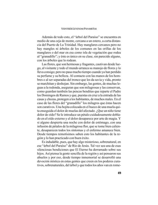 VEINTISÉISLEYENDASPANAMEÑAS
49
Además de todo esto, el “árbol del Paraíso” se encuentra en
medio de una ceja de monte, cercana a un estero, a corta distan-
cia del Puerto de La Trinidad. Hay manglares cercanos pero no
hay mangles ni árboles de los comunes en las orillas de los
manglares o del mar en esa como isla de vegetación que rodea
al “granadillo”; y éste es único en su clase, sin parecido alguno,
con los árboles que lo rodean.
Las flores, que son hermosas y fragantes, cautivan desde lue-
go, al visitante y todo el mundo arranca su manojo de flores y lo
lleva consigo; pero no pasa mucho tiempo cuando ya han perdido
su perfume y su belleza. Al contacto con las manos de los hom-
bres o al ser separadas del tronco que les da savia y vida, pronto
se marchitan y deshojan. Sin embargo, las gentes, de muchas le-
guas a la redonda, aseguran que son milagrosas y las conservan,
como guardan también las pencas benditas que reparte el Padre
los Domingos de Ramos y que, puestas en cruz a la entrada de las
casas y chozas, protegen a los habitantes, de muchos males. En el
caso de las flores del “granadillo” los milagros que éstas hacen
son curativos. Una hojita colocada en el hueco de una muela qui-
ta enseguida el dolor de muelas del afectado. ¿Que un niño tiene
dolor de oído? Se le introduce un pétalo cuidadosamente dobla-
do en el oído externo y el dolor desaparece por arte de magia. Y
si alguno despierta una noche con dolor de estómago, con una
infusión de pétalos de la milagrosa flor, que se tome bien calien-
te, desaparecen todos los síntomas y el enfermo amanece bien.
Desde tiempos remotísimos saben esto los habitantes de la re-
gión y lo han practicado con buen éxito.
Es indudable, pues, que hay algo misterioso, sobrenatural, en
ese “árbol del Paraíso” de Río de Jesús. Tal vez sea una de esas
silenciosas bendiciones que El Eterno ha derramado sobre sus
hijos. Así piensa la gente sencilla de la región y así pensaron sus
abuelos y por eso, desde tiempo inmemorial se desarrolló una
devoción mística en estas gentes que creen en los poderes cura-
tivos, sobrenaturales, del árbol y que todos los años van en rome-
 