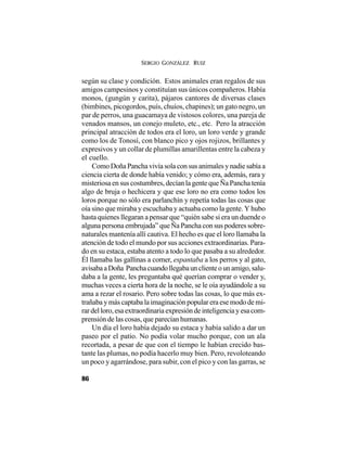 SERGIO GONZÁLEZ RUIZ
86
según su clase y condición. Estos animales eran regalos de sus
amigos campesinos y constituían sus únicos compañeros. Había
monos, (gungún y carita), pájaros cantores de diversas clases
(bimbines, picogordos, puís, chuíos, chapines); un gato negro, un
par de perros, una guacamaya de vistosos colores, una pareja de
venados mansos, un conejo muleto, etc., etc. Pero la atracción
principal atracción de todos era el loro, un loro verde y grande
como los de Tonosí, con blanco pico y ojos rojizos, brillantes y
expresivos y un collar de plumillas amarillentas entre la cabeza y
el cuello.
Como Doña Pancha vivía sola con sus animales y nadie sabía a
ciencia cierta de donde había venido; y cómo era, además, rara y
misteriosa en sus costumbres, decían la gente que Ña Pancha tenía
algo de bruja o hechicera y que ese loro no era como todos los
loros porque no sólo era parlanchín y repetía todas las cosas que
oía sino que miraba y escuchaba y actuaba como la gente. Y hubo
hasta quienes llegaran a pensar que “quién sabe si era un duende o
alguna persona embrujada” que Ña Pancha con sus poderes sobre-
naturales mantenía allí cautiva. El hecho es que el loro llamaba la
atención de todo el mundo por sus acciones extraordinarias. Para-
do en su estaca, estaba atento a todo lo que pasaba a su alrededor.
Él llamaba las gallinas a comer, espantaba a los perros y al gato,
avisabaaDoña Panchacuandollegabaunclienteounamigo,salu-
daba a la gente, les preguntaba qué querían comprar o vender y,
muchas veces a cierta hora de la noche, se le oía ayudándole a su
ama a rezar el rosario. Pero sobre todas las cosas, lo que más ex-
trañaba y más captaba la imaginación popular era ese modo de mi-
rardelloro,esaextraordinariaexpresióndeinteligenciayesacom-
prensión de las cosas, que parecían humanas.
Un día el loro había dejado su estaca y había salido a dar un
paseo por el patio. No podía volar mucho porque, con un ala
recortada, a pesar de que con el tiempo le habían crecido bas-
tante las plumas, no podía hacerlo muy bien. Pero, revoloteando
un poco y agarrándose, para subir, con el pico y con las garras, se
 