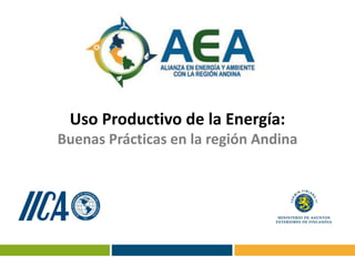 Uso Productivo de la Energía:
Buenas Prácticas en la región Andina
 