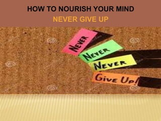 HOW TO NOURISH YOUR MIND
NEVER GIVE UP
 