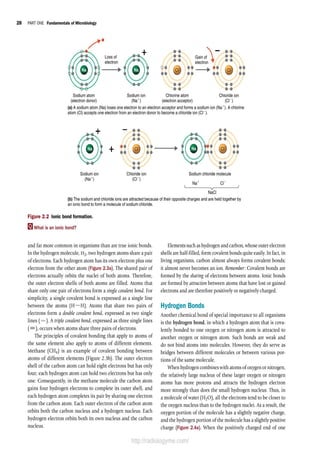 Microbiology an Introduction 13th Edition PDF Textbook | PDF