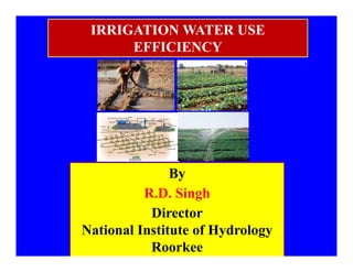 IRRIGATION WATER USE
EFFICIENCYEFFICIENCY
By
R.D. Singh
Director
National Institute of Hydrology
Roorkee
 