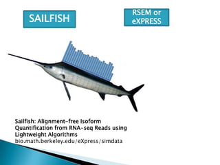 SAILFISH

Sailfish: Alignment-free Isoform
Quantification from RNA-seq Reads using
Lightweight Algorithms
bio.math.berkeley.edu/eXpress/simdata

RSEM or
eXPRESS

 