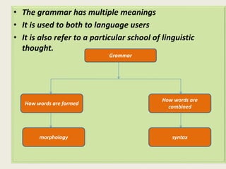 • The grammar has multiple meanings 
• It is used to both to language users 
• It is also refer to a particular school of linguistic 
thought. 
Grammar 
How words are formed 
How words are 
combined 
morphology syntax 
 