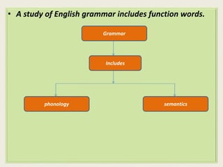 • A study of English grammar includes function words. 
Grammar 
Includes 
phonology semantics 
 