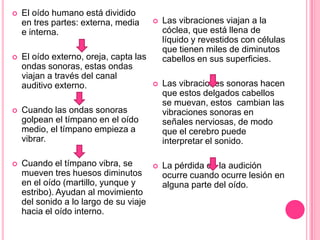 



El oído humano está dividido
en tres partes: externa, media
e interna.
El oído externo, oreja, capta las
ondas sonoras, estas ondas
viajan a través del canal
auditivo externo.



Cuando el tímpano vibra, se
mueven tres huesos diminutos
en el oído (martillo, yunque y
estribo). Ayudan al movimiento
del sonido a lo largo de su viaje
hacia el oído interno.

Las vibraciones viajan a la
cóclea, que está llena de
líquido y revestidos con células
que tienen miles de diminutos
cabellos en sus superficies.



Las vibraciones sonoras hacen
que estos delgados cabellos
se muevan, estos cambian las
vibraciones sonoras en
señales nerviosas, de modo
que el cerebro puede
interpretar el sonido.



La pérdida de la audición
ocurre cuando ocurre lesión en
alguna parte del oído.

Cuando las ondas sonoras
golpean el tímpano en el oído
medio, el tímpano empieza a
vibrar.





 