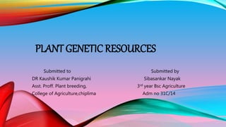 PLANT GENETIC RESOURCES
Submitted to Submitted by
DR Kaushik Kumar Panigrahi Sibasankar Nayak
Asst. Proff. Plant breeding, 3rd year Bsc Agriculture
College of Agriculture,chiplima Adm no 31C/14
 