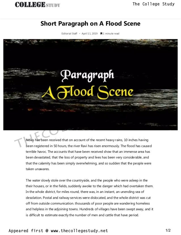 Flood scene essays image