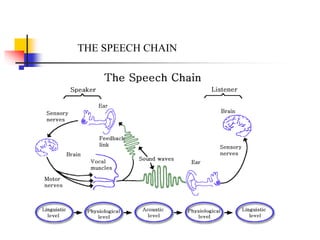 26 Speech Lecture.ppt