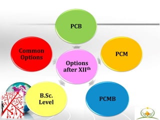 Options
after XIIth
PCB
PCM
PCMB
B.Sc.
Level
Common
Options
 