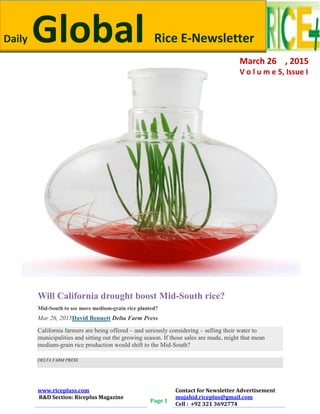 Daily Global Rice E-Newsletter by Riceplus Magazine
www.ricepluss.com
R&D Section: Riceplus Magazine
Page 1
Contact for Newsletter Advertisement
mujahid.riceplus@gmail.com
Cell : +92 321 3692774
Will California drought boost Mid-South rice?
Mid-South to see more medium-grain rice planted?
Mar 26, 2015David Bennett Delta Farm Press
California farmers are being offered – and seriously considering – selling their water to
municipalities and sitting out the growing season. If those sales are made, might that mean
medium-grain rice production would shift to the Mid-South?
DELTA FARM PRESS
Daily Global Rice E-Newsletter
March 26 , 2015
V o l u m e 5, Issue I
 