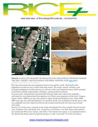 www.riceplusmagazine.blogspot.com
IMAGE: SATELLITE IMAGERY OF KHALCHAYAN AND SURFACE REMAINS WITHIN
THE SITE. CREDIT: CHEN...