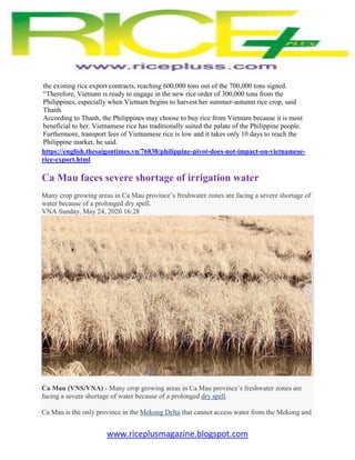 www.riceplusmagazine.blogspot.com
the existing rice export contracts, reaching 600,000 tons out of the 700,000 tons signed...