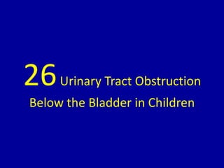 26Urinary Tract Obstruction
Below the Bladder in Children
 