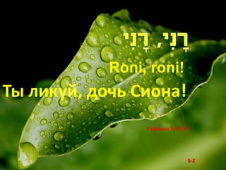 Roni, roni!
Ты ликуй, дочь Сиона!
                 Софония 3:16-20




                               5-Z
 