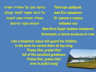 ‫כרועה טוב על חסידיו ישגיח‬     Пастырь добрый,
‫כל היום ישקוד לשפר חבלם‬
    ֶ                         имя Его священно
 ‫גאוליו יתמידו שמו לשבח‬      От грехов и страха
   ‫וינעימו שפר נגינתם‬
            ֶֶ                   избавил нас
                       Имя Бога будет вовеки священно
                       Аллилуйя, в песне возвысьте глас
   Like a shepherd Jesus will guard his children,
      in his arms he carries them all day long:
                 Praise Him, praise Him!
            tell of His excellent greatness;
                 Praise Him, praise Him!
                   ever in joyful song!
 