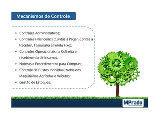 Mecanismos de Controle
§  Controles Administrativos;
§  Controles Financeiros (Contas a Pagar, Contas a
Receber, Tesouraria e Fundo Fixo);
§  Controles Operacionais na Colheita e
recebimento de Insumos;
§  Normas e Procedimentos para Compras;
§  Controle de Custos Individualizados dos
Maquinários Agrícolas e Veículos;
§  Gestão de Estoques.
 