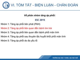 Về phân nhóm tăng áp phổi:
ESC 2015
Nhóm 1: Tăng áp phổi tiên phát (PAH)
Nhóm 2: Tăng áp phổi liên quan đến bệnh tim trái
Nhóm 3: Tăng áp phổi liên quan đến bệnh phổi mãn tính
Nhóm 4: Tăng áp phổi sau thuyên tắc huyết khối phổi mãn tính
Nhóm 5: Tăng áp phổi do đa yếu tố
VI. TÓM TẮT - BIỆN LUẬN - CHẨN ĐOÁN
 