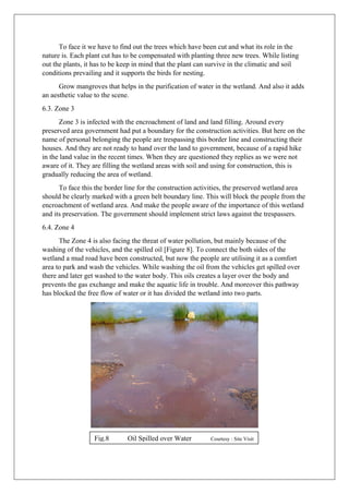 To face it we have to find out the trees which have been cut and what its role in the
nature is. Each plant cut has to be compensated with planting three new trees. While listing
out the plants, it has to be keep in mind that the plant can survive in the climatic and soil
conditions prevailing and it supports the birds for nesting.
Grow mangroves that helps in the purification of water in the wetland. And also it adds
an aesthetic value to the scene.
6.3. Zone 3
Zone 3 is infected with the encroachment of land and land filling. Around every
preserved area government had put a boundary for the construction activities. But here on the
name of personal belonging the people are trespassing this border line and constructing their
houses. And they are not ready to hand over the land to government, because of a rapid hike
in the land value in the recent times. When they are questioned they replies as we were not
aware of it. They are filling the wetland areas with soil and using for construction, this is
gradually reducing the area of wetland.
To face this the border line for the construction activities, the preserved wetland area
should be clearly marked with a green belt boundary line. This will block the people from the
encroachment of wetland area. And make the people aware of the importance of this wetland
and its preservation. The government should implement strict laws against the trespassers.
6.4. Zone 4
The Zone 4 is also facing the threat of water pollution, but mainly because of the
washing of the vehicles, and the spilled oil [Figure 8]. To connect the both sides of the
wetland a mud road have been constructed, but now the people are utilising it as a comfort
area to park and wash the vehicles. While washing the oil from the vehicles get spilled over
there and later get washed to the water body. This oils creates a layer over the body and
prevents the gas exchange and make the aquatic life in trouble. And moreover this pathway
has blocked the free flow of water or it has divided the wetland into two parts.
Fig.8 Oil Spilled over Water Courtesy : Site Visit
 