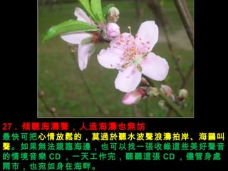 27 .  A 캣Ҳo? ɰ ģĪ^ ˮ˝İt oHR߅Ҳһ@Щ龳 CD һ칤꣬  @ CD ̎[УҲںϡ 