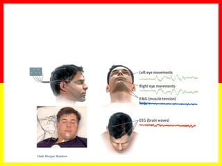 Hank Morgan/ Rainbow
 