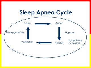 Sleep Apnea Cycle
Ventilation
Apnea
Arousal
Sleep
Hypoxia
Sympathetic
activation
Reoxygenation
 