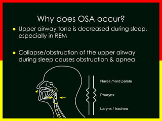 Why does OSA occur?
 Upper airway tone is decreased during sleep,
especially in REM
 Collapse/obstruction of the upper airway
during sleep causes obstruction & apnea
-
-
-
-
-
Nares /hard palate
Pharynx
Larynx / trachea
 