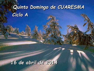 Quinto Domingo de CUARESMA
Ciclo A

16 de abril de 2014

 