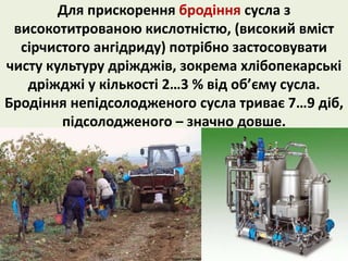 Для прискорення бродіння сусла з 
високотитрованою кислотністю, (високий вміст 
сірчистого ангідриду) потрібно застосовувати 
чисту культуру дріжджів, зокрема хлібопекарські 
дріжджі у кількості 2…3 % від об’єму сусла. 
Бродіння непідсолодженого сусла триває 7…9 діб, 
підсолодженого – значно довше. 
 