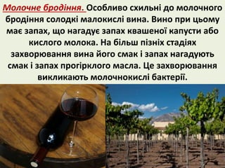 Молочне бродіння. Особливо схильні до молочного 
бродіння солодкі малокислі вина. Вино при цьому 
має запах, що нагадує запах квашеної капусти або 
кислого молока. На більш пізніх стадіях 
захворювання вина його смак і запах нагадують 
смак і запах прогірклого масла. Це захворювання 
викликають молочнокислі бактерії. 
 