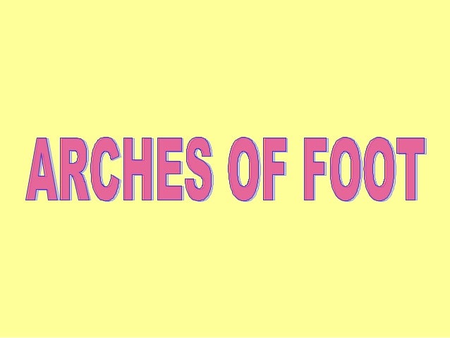 27.arches of foot