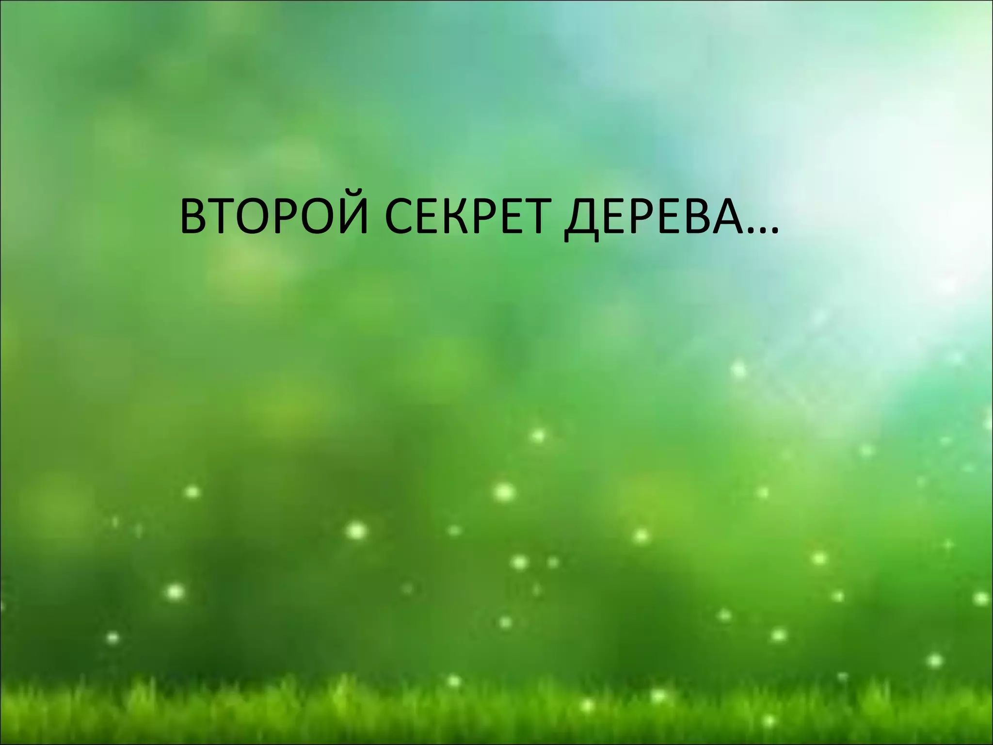 ВТОРОЙ СЕКРЕТ ДЕРЕВА…
 