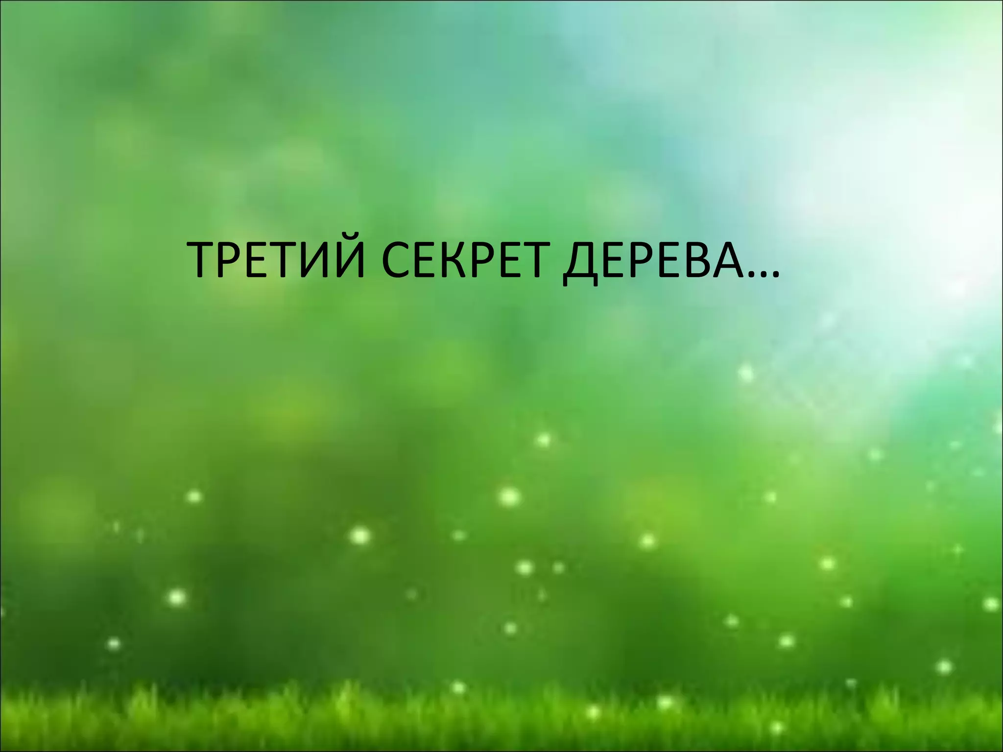 ТРЕТИЙ СЕКРЕТ ДЕРЕВА…
 