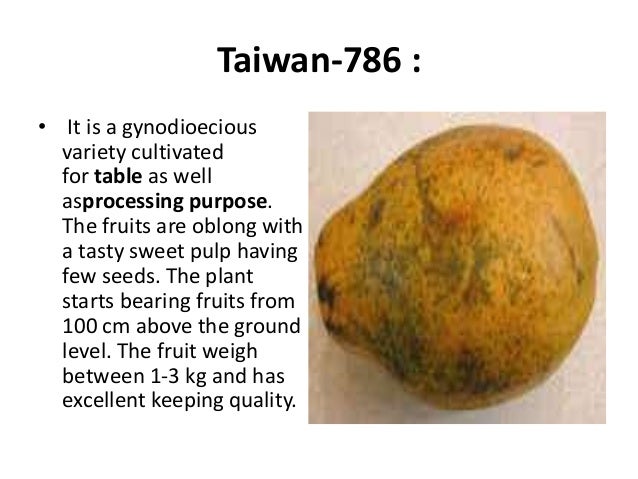 27 Papaya Varieties In The World By Allah Dad Khan