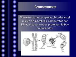 Cromosomas
Son estructuras complejas ubicadas en el
núcleo de las células, compuestos por
DNA, histonas y otras proteínas,...