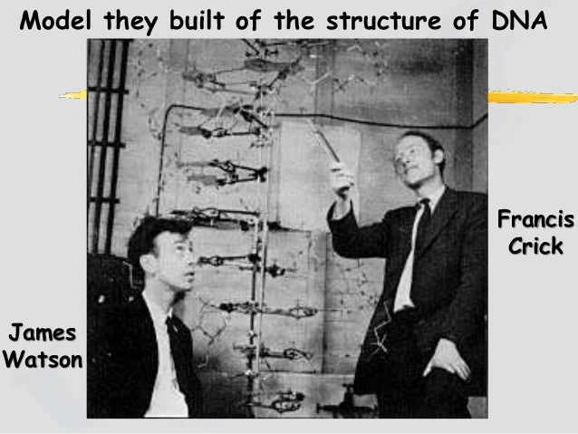 francis crick dna from the