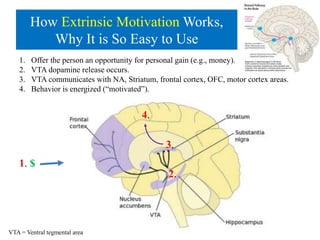 Basal ganglia circuit loops, dopamine and motivation: A review and enquiry.