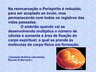 Na reencarnação o Perispírito é reduzido,
para ser acoplado ao óvulo, mas
permanecendo com todos os registros das
vidas passadas.
O embrião quando vai se
desenvolvendo multiplica o número de
células e aumenta a área de fixação do
corpo espiritual; o qual se prende às
moléculas do corpo físico em formação.
( Gestação-Sublime intercâmbio
Ricardo Di Bernardi )
Imagens da internet.
 
