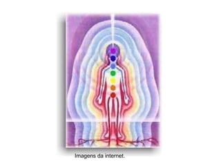 Imagens da internet.
 