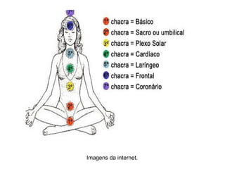 Imagens da internet.
 