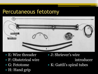 Fetotomy Instruments 27. Fetotomy in Cadavers pdf veterinary obstetrics | PDF