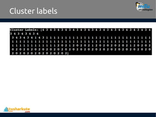Cluster labels
 