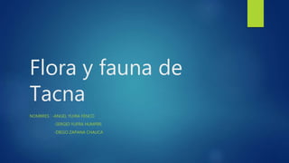 Flora y fauna de
Tacna
NOMBRES : -ANGEL YUJRA FENCO
-SERGIO YUFRA HUMPIRI
-DIEGO ZAPANA CHAUCA
 