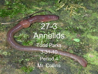 27-3 Annelids Todd Parks 3-31-10 Period 4 Mr. Collins 