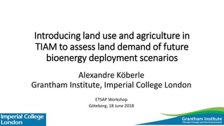 Introducing land use and agriculture in
TIAM to assess land demand of future
bioenergy deployment scenarios
Alexandre Köberle
Grantham Institute, Imperial College London
ETSAP Workshop
Göteborg, 18 June 2018
 