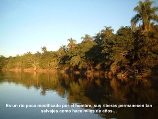 Es un río poco modificado por el hombre, sus riberas permanecen tan 
salvajes como hace miles de años… 
 